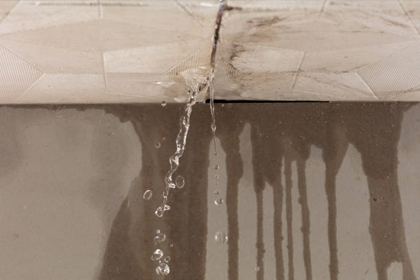 Professional Water Damage Repair technician working in Woodside, CA